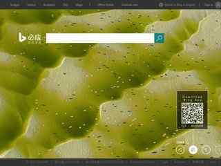 微軟必應搜索
