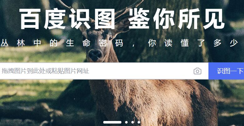 百度識圖網(wǎng)頁版在線